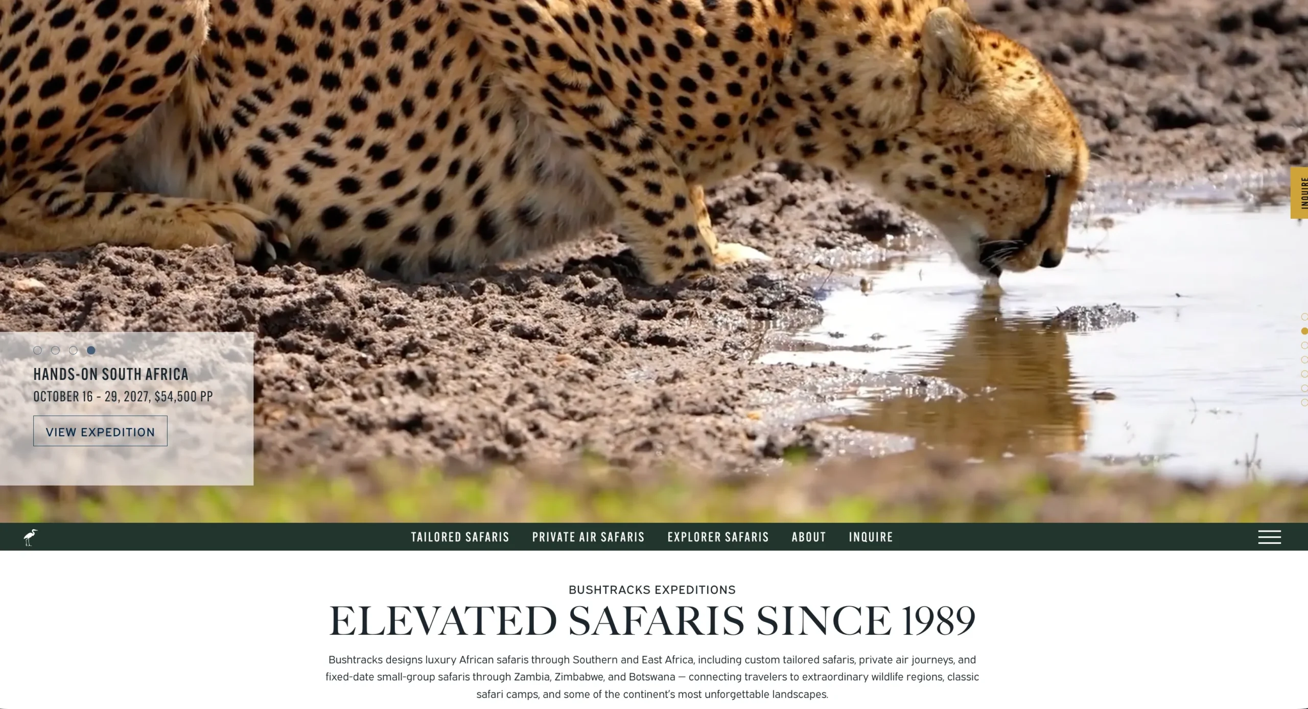 Driving 73% More Online Safari Bookings for Bushtracks Through Meta Advertising